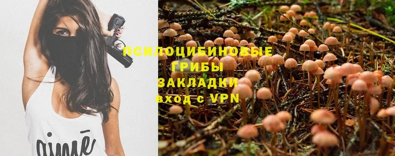 Псилоцибиновые грибы Magic Shrooms  Тюмень 